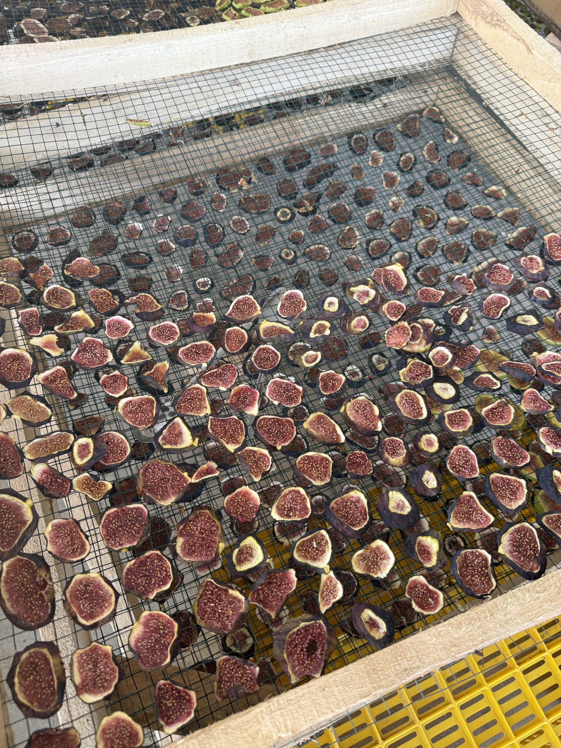 Mor İncir Cipsi - Görsel 2